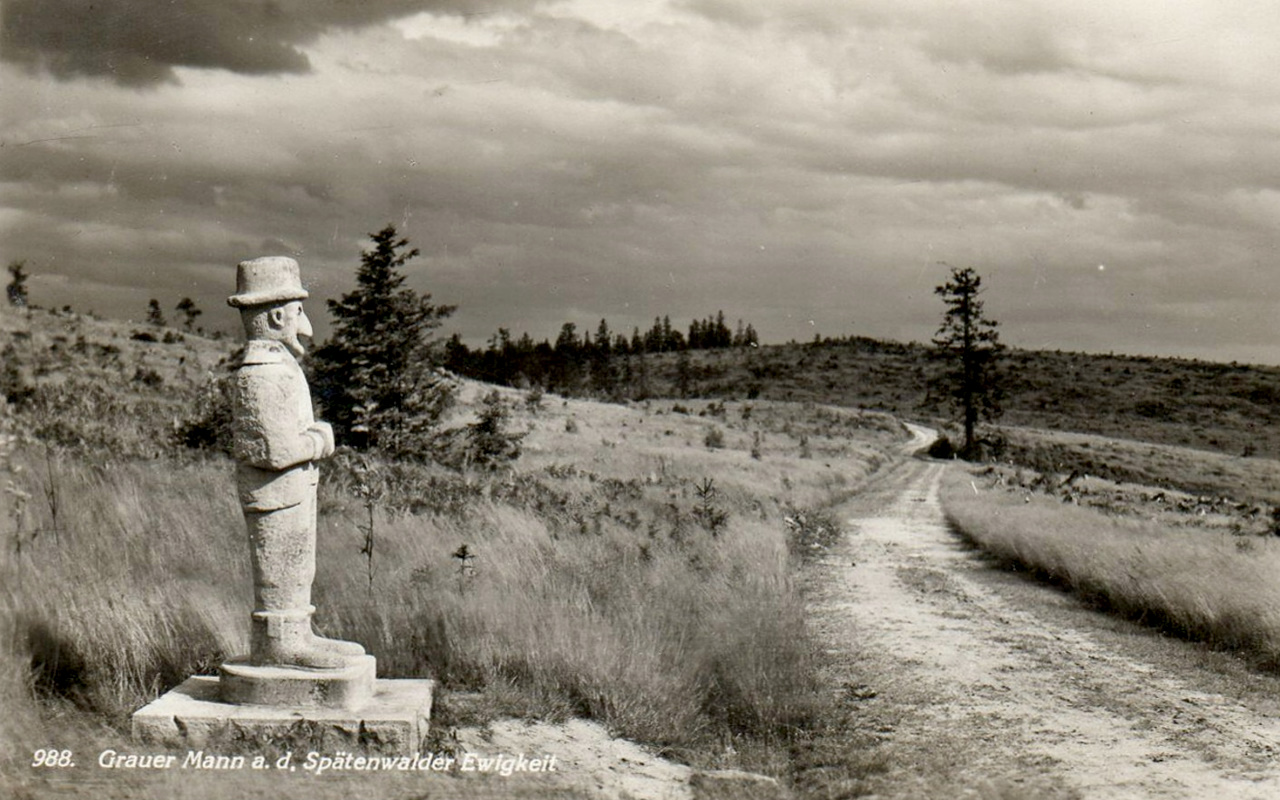 Grauer Mann a. d. Spätenwalder Ewigkeit