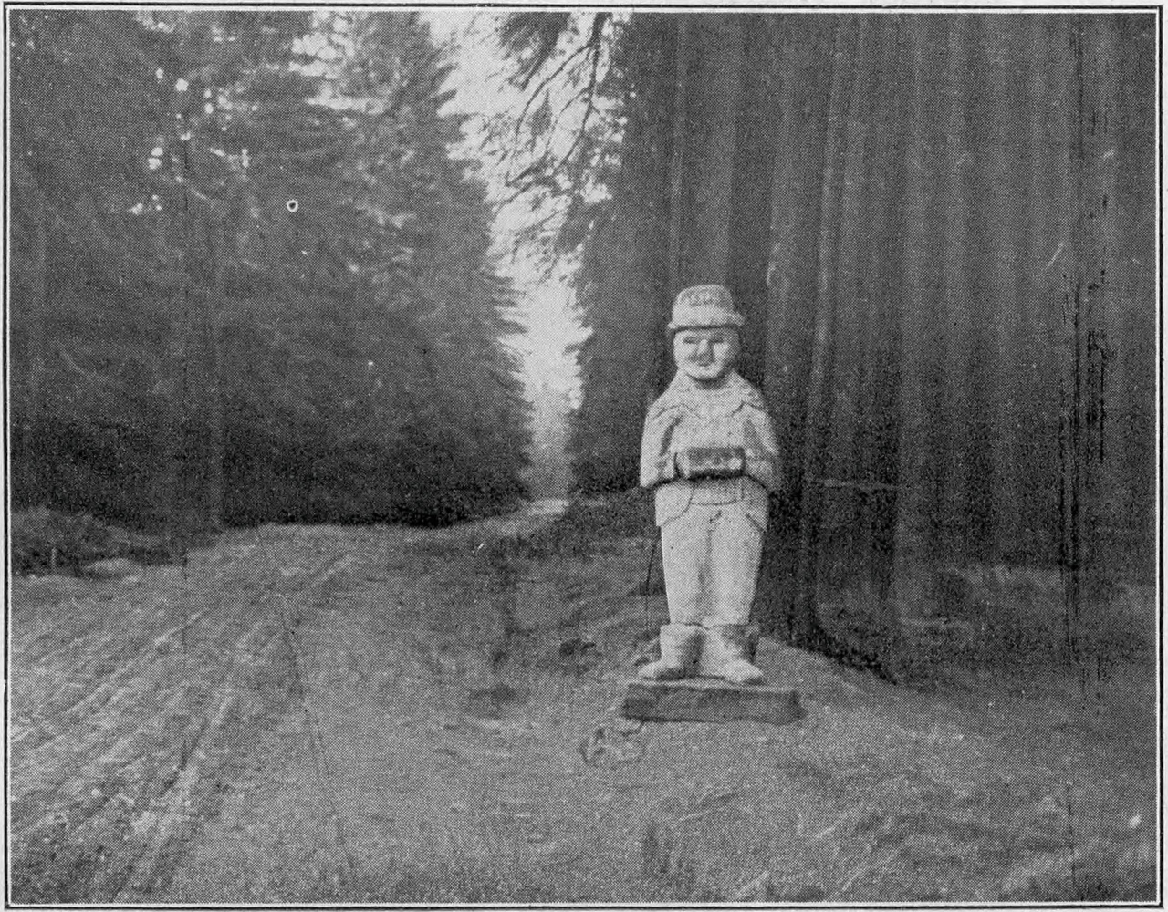 Der graue Mann von Hüttengut. phot. Reg.-Refdr. Mundt in Glatz.