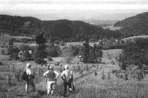 Blick auf Nei&szlig;bach und obere Grafschaft