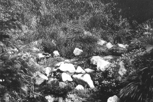 Die zwei Nei&szlig;equellen