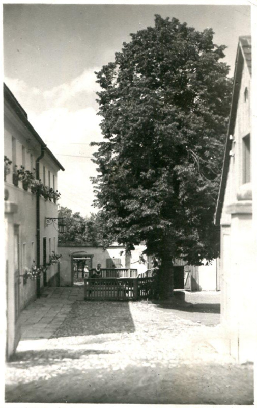 Jugendhof Hassitz, um 1928