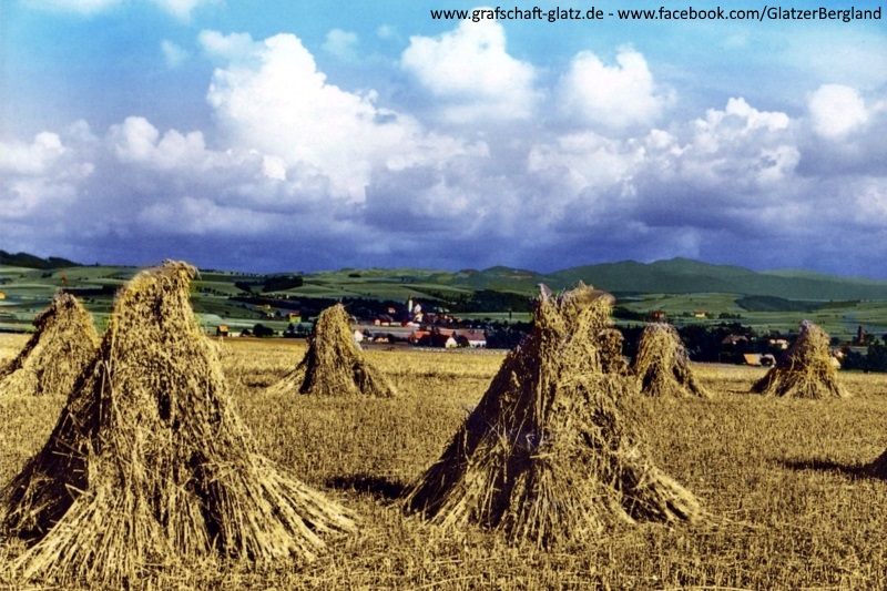 Ortsansicht mit Schneegebirge