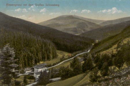 Ortsansicht mit Schneeberg