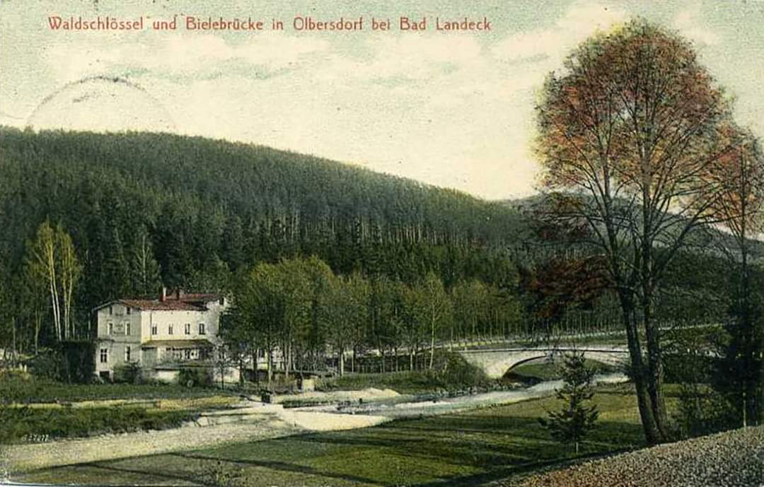 Waldschl&ouml;ssel und Bielebr&uuml;cke in Olbersdorf bei Bad Landeck 