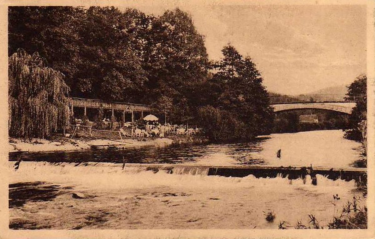 Waldschl&ouml;ssel in Olbersdorf bei Bad Landeck