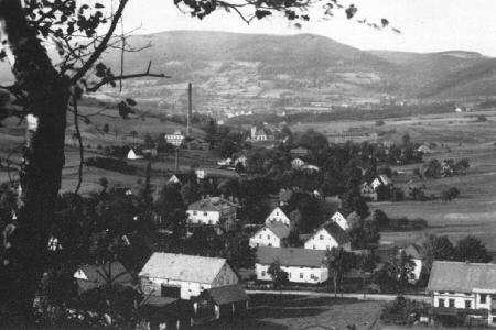 Bild anzeigen