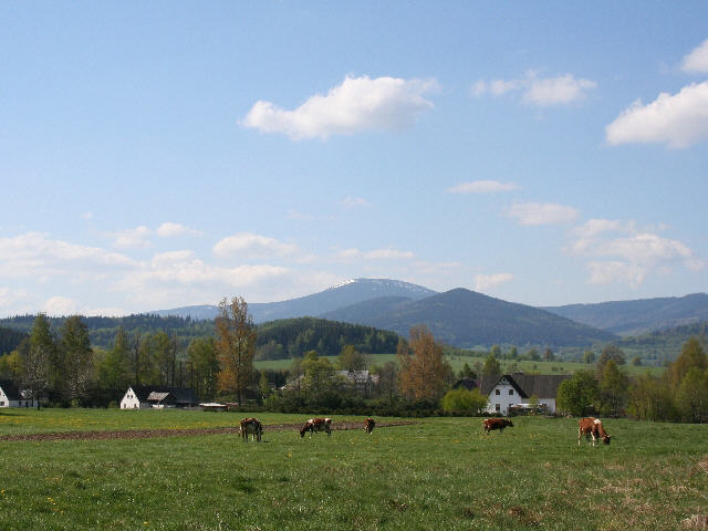 Panorama mit Schneeberg (2)