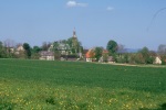 Bild anzeigen