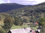 Bild anzeigen