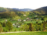 Bild anzeigen