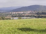 Bild anzeigen