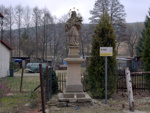 Bild anzeigen