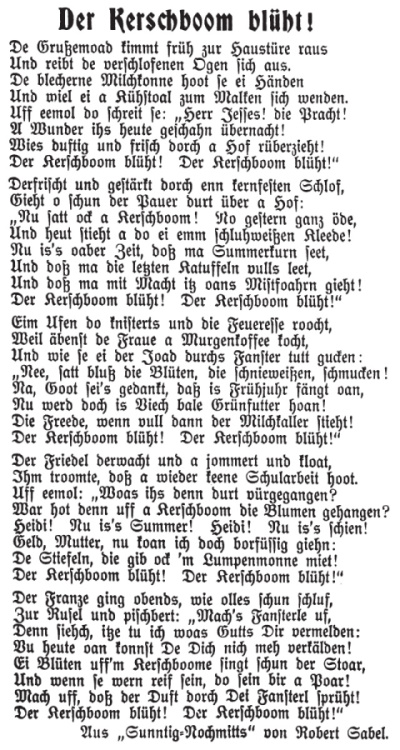 „Der Kerschboom blüht!“ von Robert Sabel in „Warmbrunner Nachrichten“