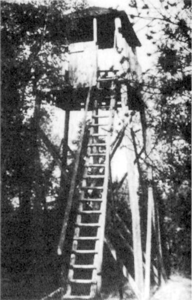 Turm auf den Seefeldern bei Grunwald